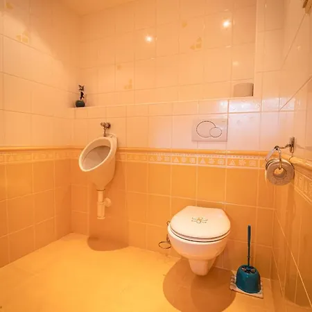 شقة Apartman Kohoute V Koute *